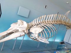 -鹿儿岛水族馆