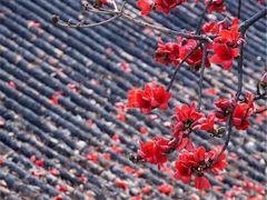 -仟吉KenGee(武汉高铁站店)