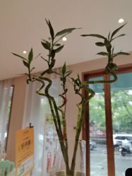 -Dr.林醫生产后修复·配方产康店(南京大厂店)