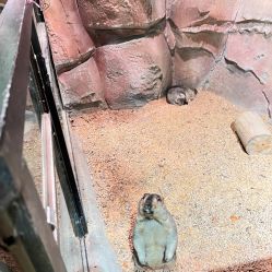 -酷嗒动物文化乐园(cutezoo西溪乐天城店)