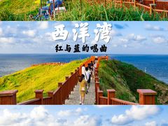 -枸杞岛