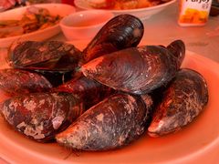 白灼青口贝-丰收渔港饭店(嵊泗店)