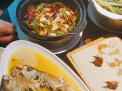-三强鸽子(中原路店)