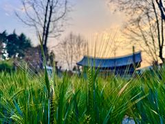 -丽江悦榕庄酒店-明月·雪山庭院餐厅