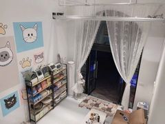 -猫苑生活馆
