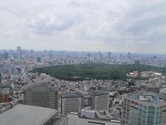 -东京都厅舍