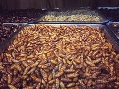 -昆虫窝子·特色云南菜(拓东路总店)