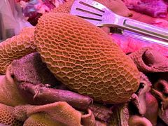 -阿娟牛肉丸·手打牛肉丸·现做现卖