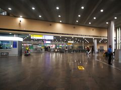 -谢列梅捷沃国际机场