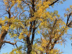 -苏州碑刻博物馆