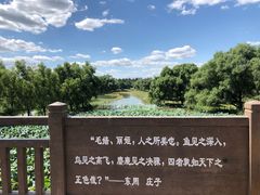 -北京麋鹿生态实验中心