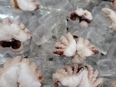 -肥姐美食(同福中路店)