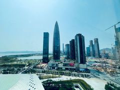 -小南洋海景餐厅(深圳湾店)