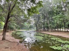 -长白岛森林公园