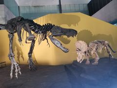 -湖南省地质博物馆