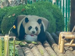 -大连森林动物园