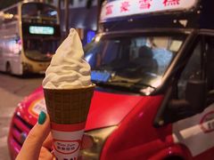 -富豪雪糕车流动点(尖沙咀店)