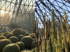 -深圳仙湖植物园
