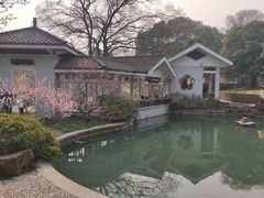 -无锡梅园公园