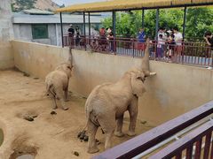 -西霞口神雕山野生动物世界