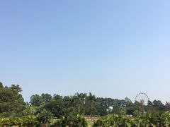 -南沙蒲洲花园