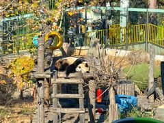 -大连森林动物园