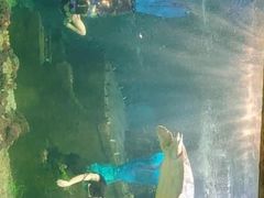 -嘉兴海底世界