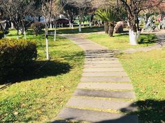 -云南师范大学(一二一西南联大校区)