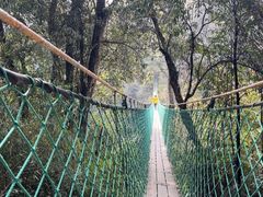 -云南屏边大围山国家公园