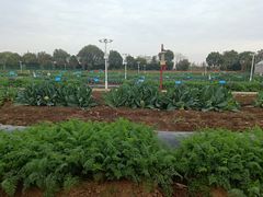 -上膳源有机农场