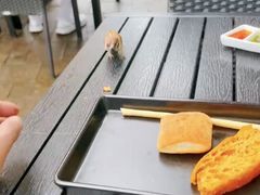 -安妮意大利餐厅(世贸天阶店)
