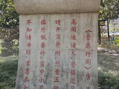 -木塔寺遗址生态公园