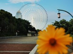 -南昌之星游乐场