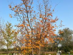 -汉长安城未央宫国家考古遗址公园