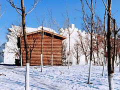 -长春世界雕塑园冰雪艺术天地