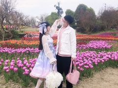 -秀丽东方