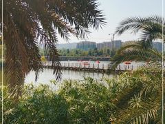 -枫香湖儿童公园