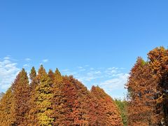 -厦门园林博览苑