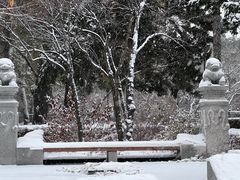 -长春市南湖公园