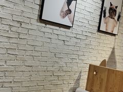 大堂-藏猫猫咖啡主题馆(中央大道店)