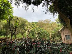 -云溪植物园