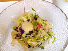 -蝶舍·MAISON PAPILLON