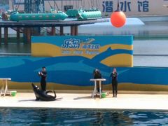 -秦皇岛乐岛海洋王国