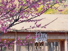 -苏州上方山国家森林公园