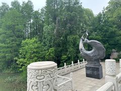-东湖落雁景区