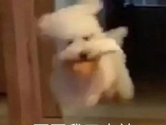 -第二外国语学院-韩国餐厅(朝阳路店)