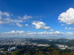 -水濂山森林公园