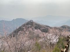 -大岭沟猕猴桃谷风景区