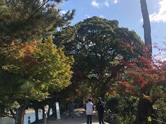 -中村藤吉(平等院店 )