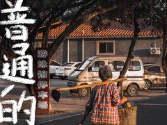 -SFC上影百联影城(大上海4DX店)